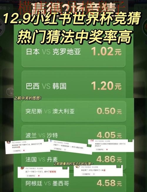 世界杯官方信息期间热门世界杯竞猜平台深度评测与直播入口分析